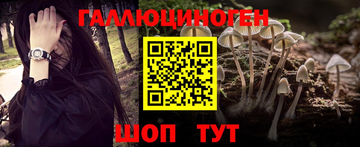 Псилоцибиновые грибы MAGIC MUSHROOMS  Вход с VPN  Псилоцибиновые грибы прущие грибы  Серпухов 